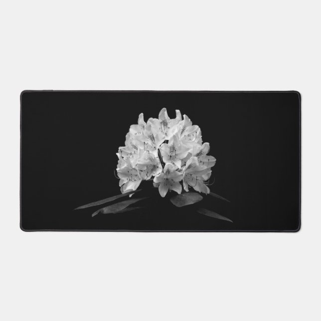 Rhododendron En Noir Et Blanc Photo (Recto)
