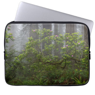 Rhododendron im Redwood National Park Kalifornien Laptopschutzhülle
