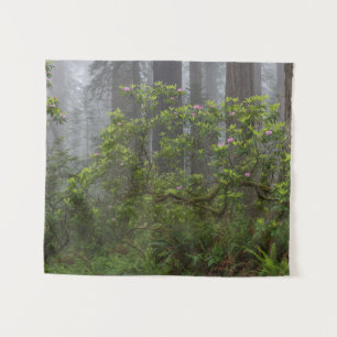 Rhododendron im Redwood National Park Kalifornien Wandteppich