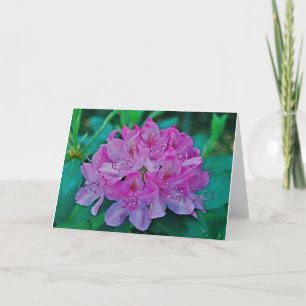 Rhododendron Karte