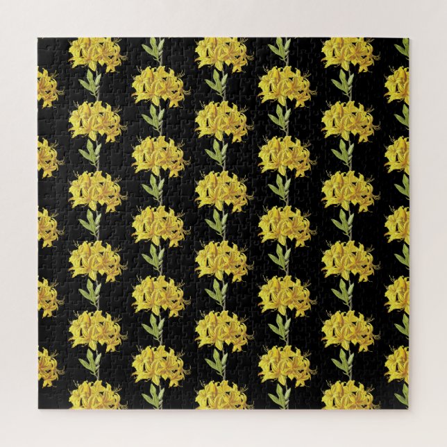 Rhododendron luteum (Pontic Azalea) (Vertikal)