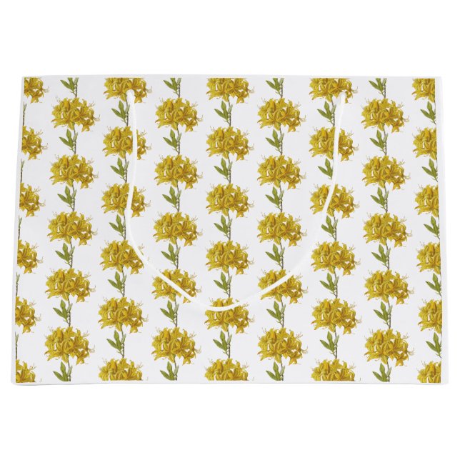 Rhododendron luteum (Pontic Azalea) Große Geschenktüte (Vorderseite)