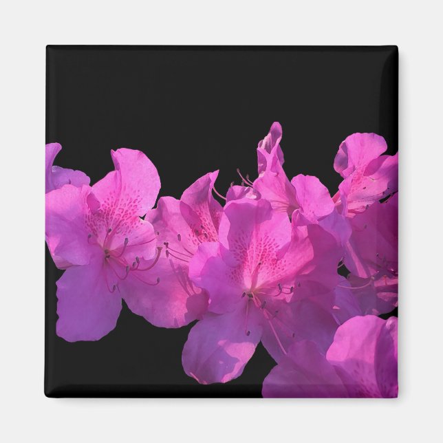 Rhododendron Magnet (Vorne)