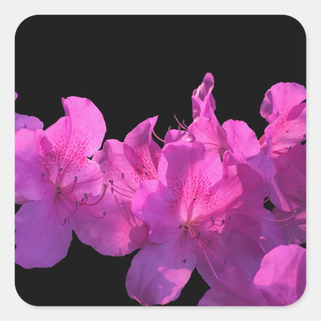Rhododendron Quadratischer Aufkleber (Vorderseite)
