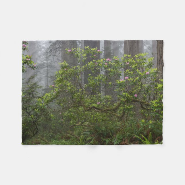 Rhododendron - Redwood-Nationalpark California Fleecedecke (Vorderseite (Horizontal))