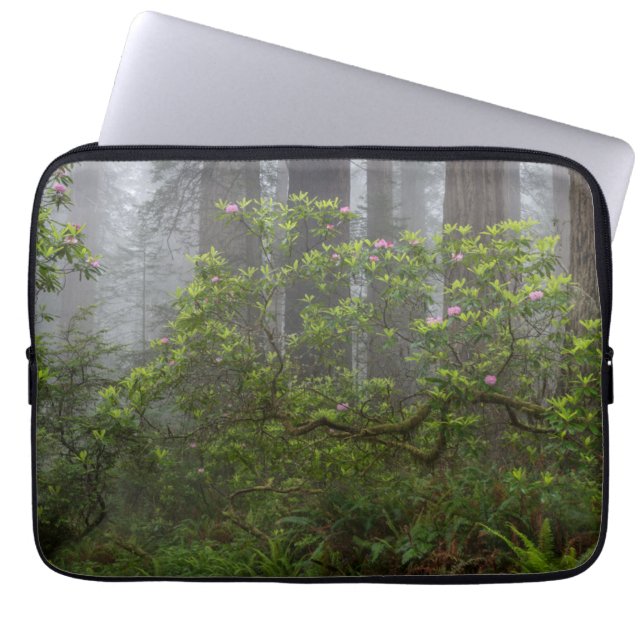 Rhododendron - Redwood-Nationalpark California Laptopschutzhülle (Vorderseite)