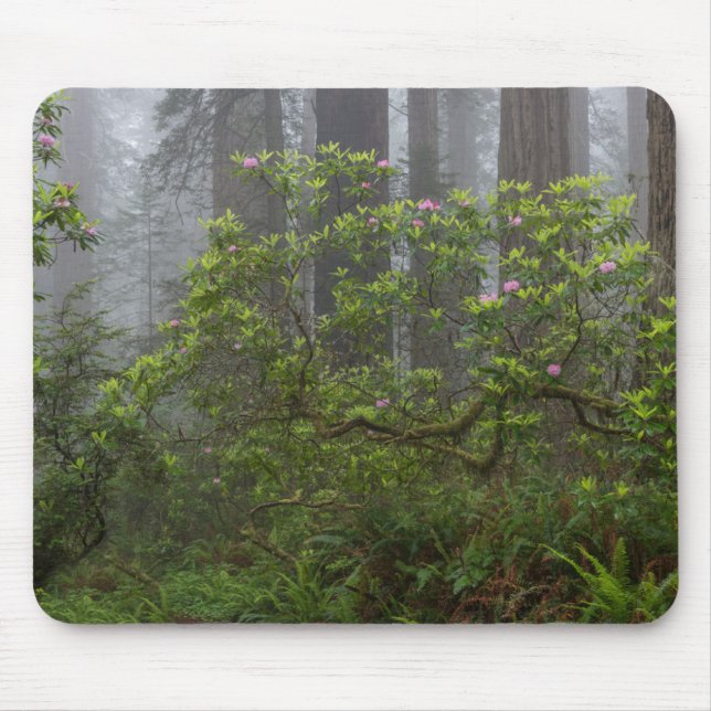 Rhododendron - Redwood-Nationalpark California Mousepad (Vorne)