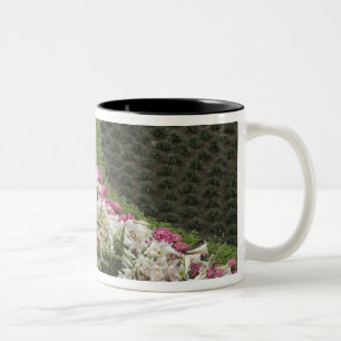 Rhododendron (Rhododendron catawbiense) Heath Zweifarbige Tasse