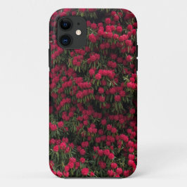 Rhododendron Shrub in voller Blume Case-Mate iPhone Hülle