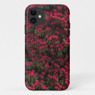 Rhododendron Shrub in voller Blume Case-Mate iPhone Hülle