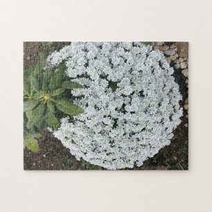 Rhododendron Verlasse Candy Tufts Blume Puzzles