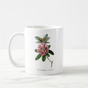 Rhododendron Viskosum Kaffeetasse