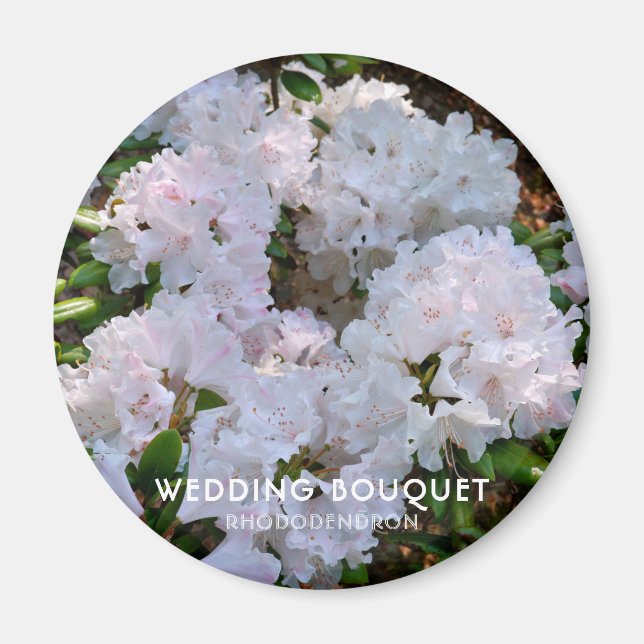 Rhododendron "Wedding Bouquet" Magnet (Vorne)
