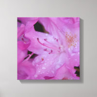 Rhododendron Wrapped Canvas