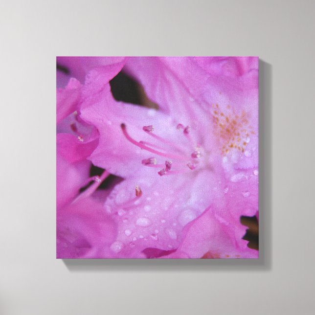 Rhododendron Wrapped Canvas Leinwanddruck (Vorderseite)