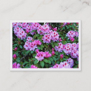 Rhododendrons, Mini Carte photo