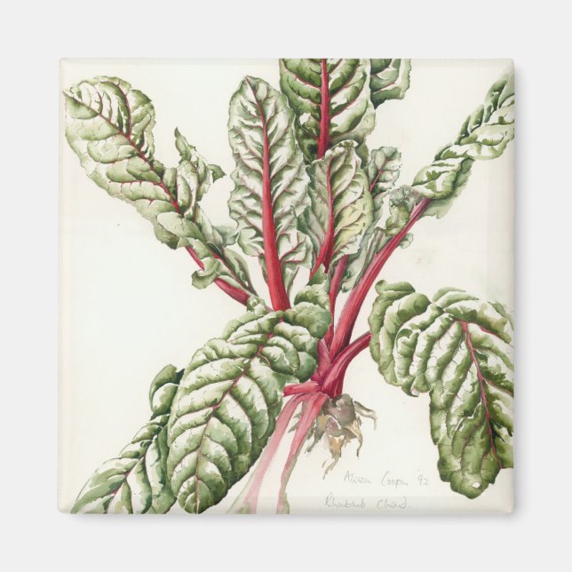 Rhubarb Chard 1992 Magnet (Vorne)
