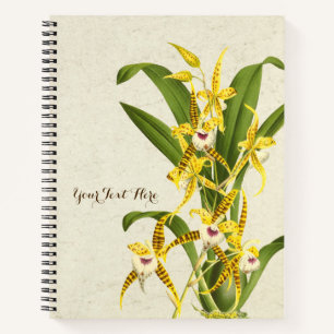 Rhynchostele cordata Orchidee Notizbuch