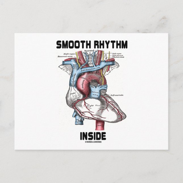 Rhythmus im Inneren (medizinisches anatomisches He Postkarte (Vorderseite)