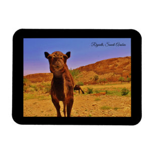 Riad, Saudi-Arabien Magnet