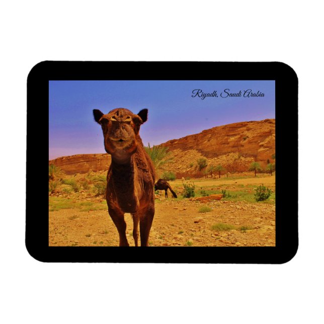 Riad, Saudi-Arabien Magnet (Horizontal)