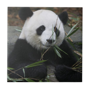 Riant Panda Fliese