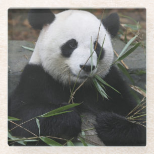 Riant Panda Glasuntersetzer