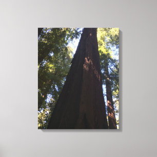 Riant Red Woods Leinwanddruck