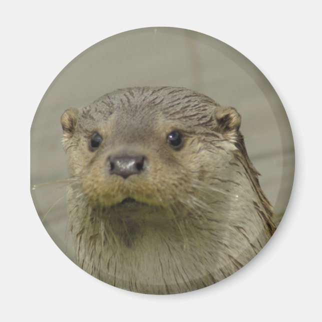 Riant River Otter Magnet (Vorne)