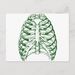 Rib Cage Postkarte