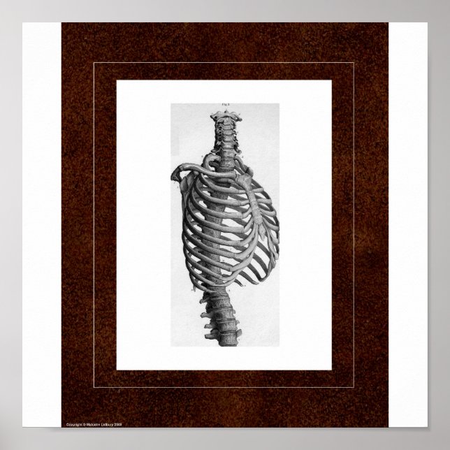 Rib Spirit House Poster (Vorne)