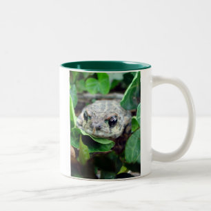 Ribbit, Ribbit Zwei-Ton Tasse