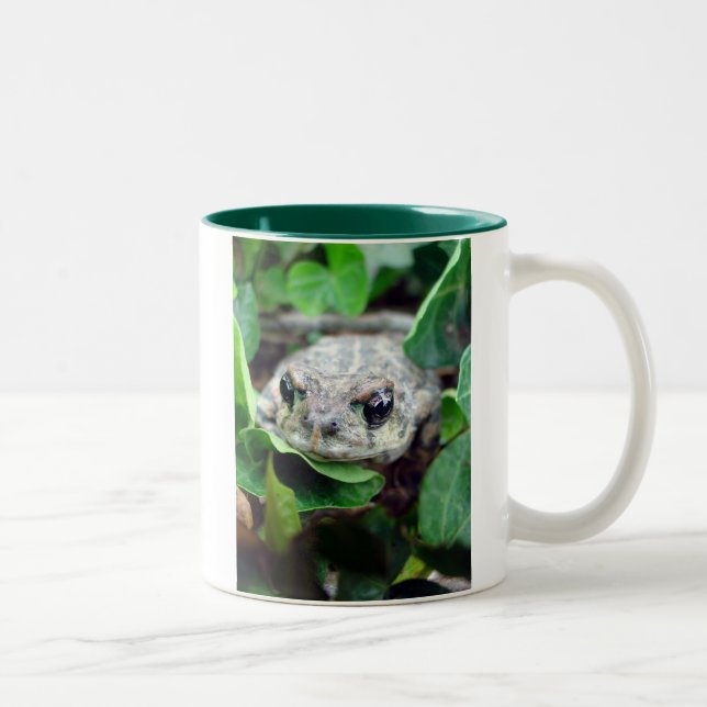 Ribbit, Ribbit Zwei-Ton Tasse (Rechts)