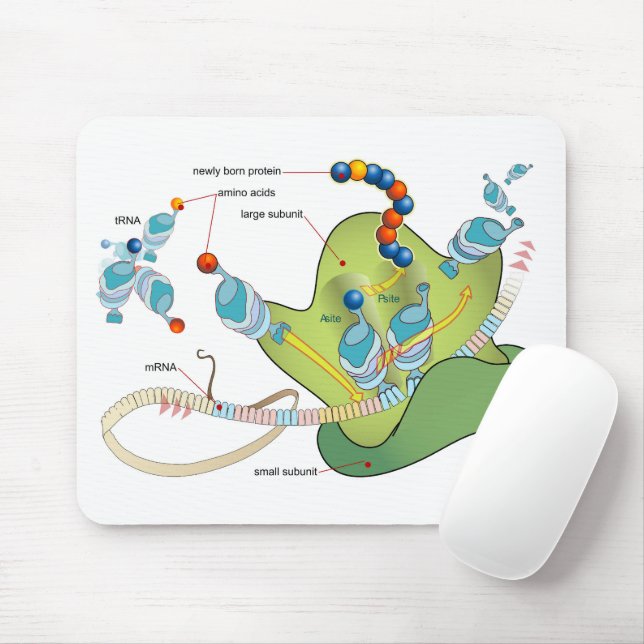 Ribosome mRNA tRNA molecules proteins Diagram  Mousepad (Mit Mouse)