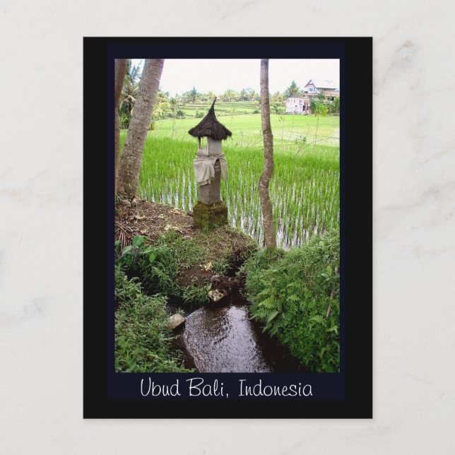 Rice Paddy, Temple, Ubud Bali, Indonesien Postkarte (Vorderseite)