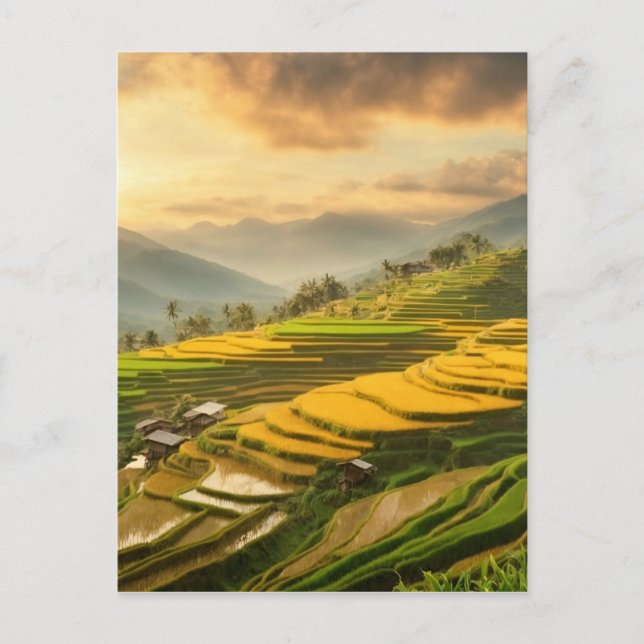 Rice Terraces Sunrise Postkarte (Vorderseite)