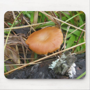 Rich Brown Mushroom OBX Mousepad