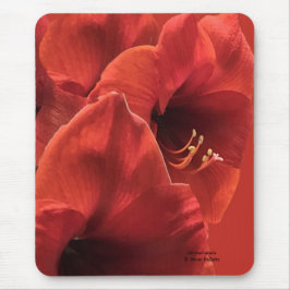 Rich Earthy Ruby Red Amaryllis Composite Photo Mousepad