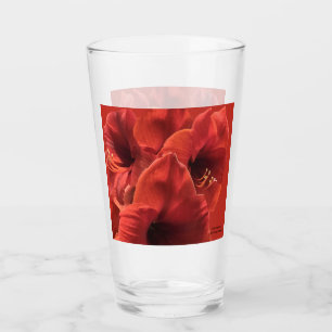 Rich Earthy Ruby Red Amaryllis Foto Glas