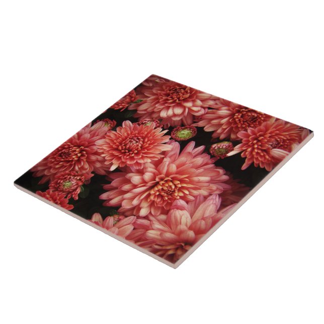 Rich Red Chrysanthemas Fliese (Seite)
