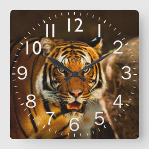 Rich Vibrant Tiger Quadratische Wanduhr