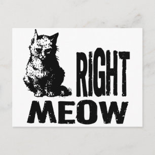 Richtig! Funny Evil Kitty Postkarte