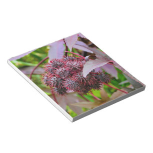 Ricinus communis notizblock