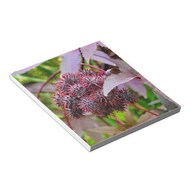 Ricinus communis notizblock (angewinkelt)