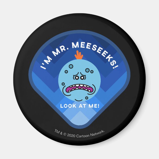 RICK UND MORTY™ | Muster für Außenraummuster Magnet (Vorne)