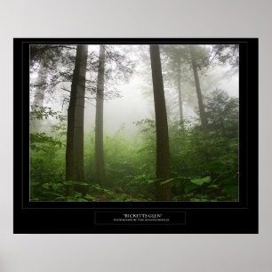 Ricketts Glen Poster