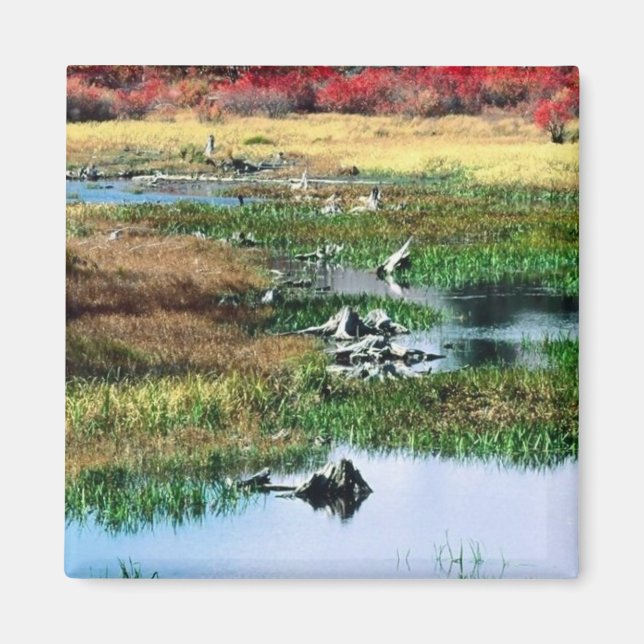 Ricketts Glen Staat Park, PA Magnet (Vorne)