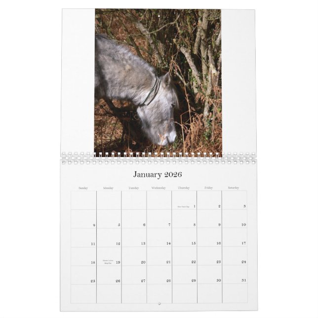 Ricks 2008 gelegentlicher Pics C… Kalender (Jan 2026)