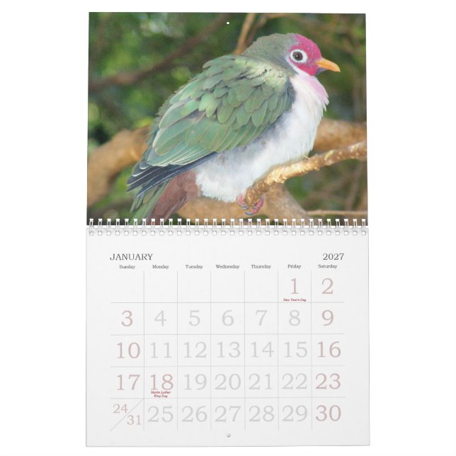 Ricks wilder Vogel-Kalender 2007 Kalender (Jan 2027)