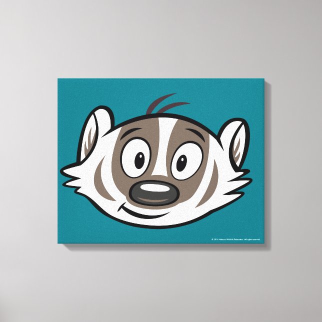 Ricky Raccoon | Boomer Badger Face Leinwanddruck (Vorderseite)